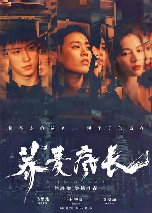 德克萨斯州驾驶执照假的多少钱